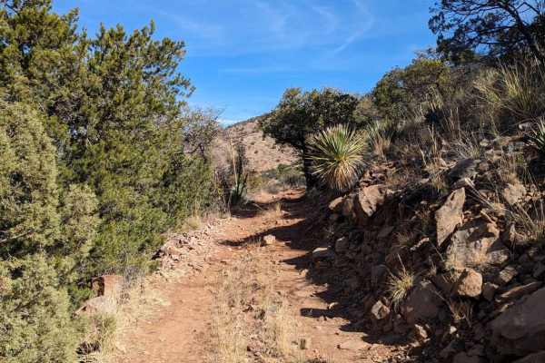 Coal Mine Road FR-4859