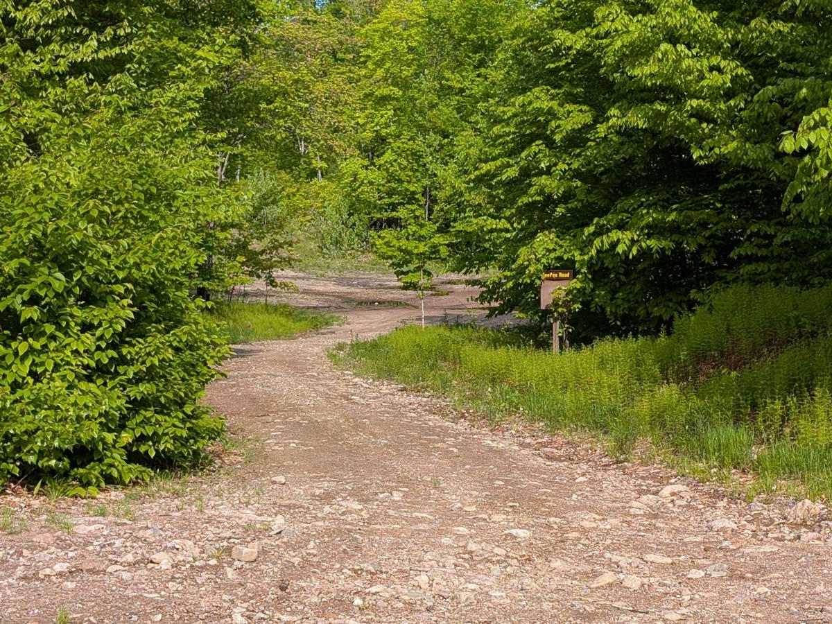 Long Pond Main Haul Road photo 6