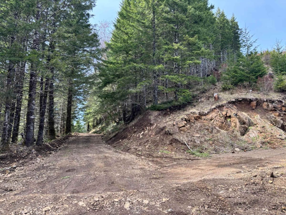 Firebreak 3 East photo 2