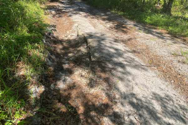 Blue Sink Road