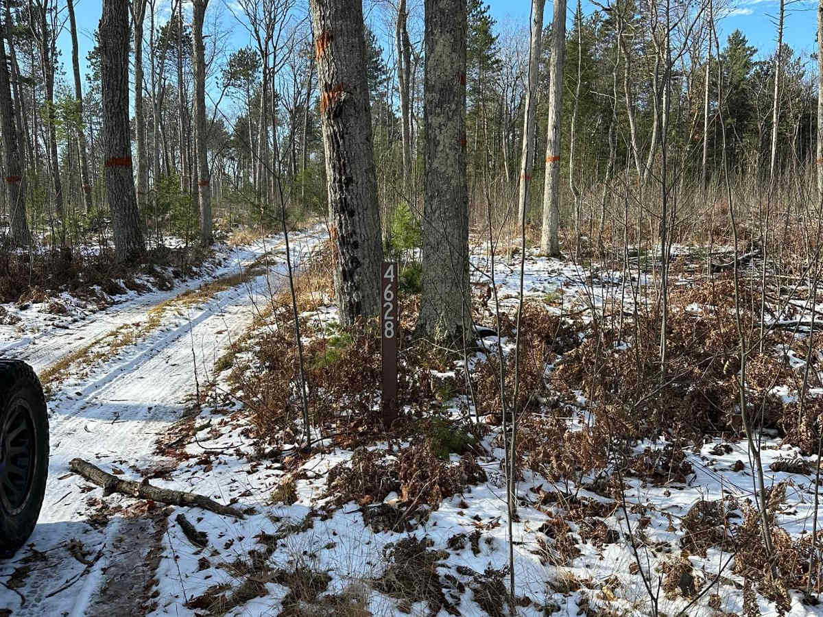 FS 4628 photo 2