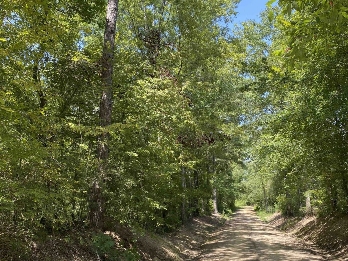Clayton Holmes Rd trail photo
