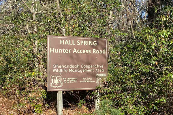FSR #85-2 Hall Spring Road