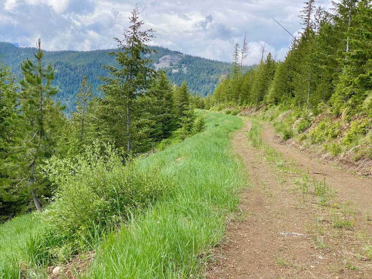 Upper Idaho Gulch photo 3