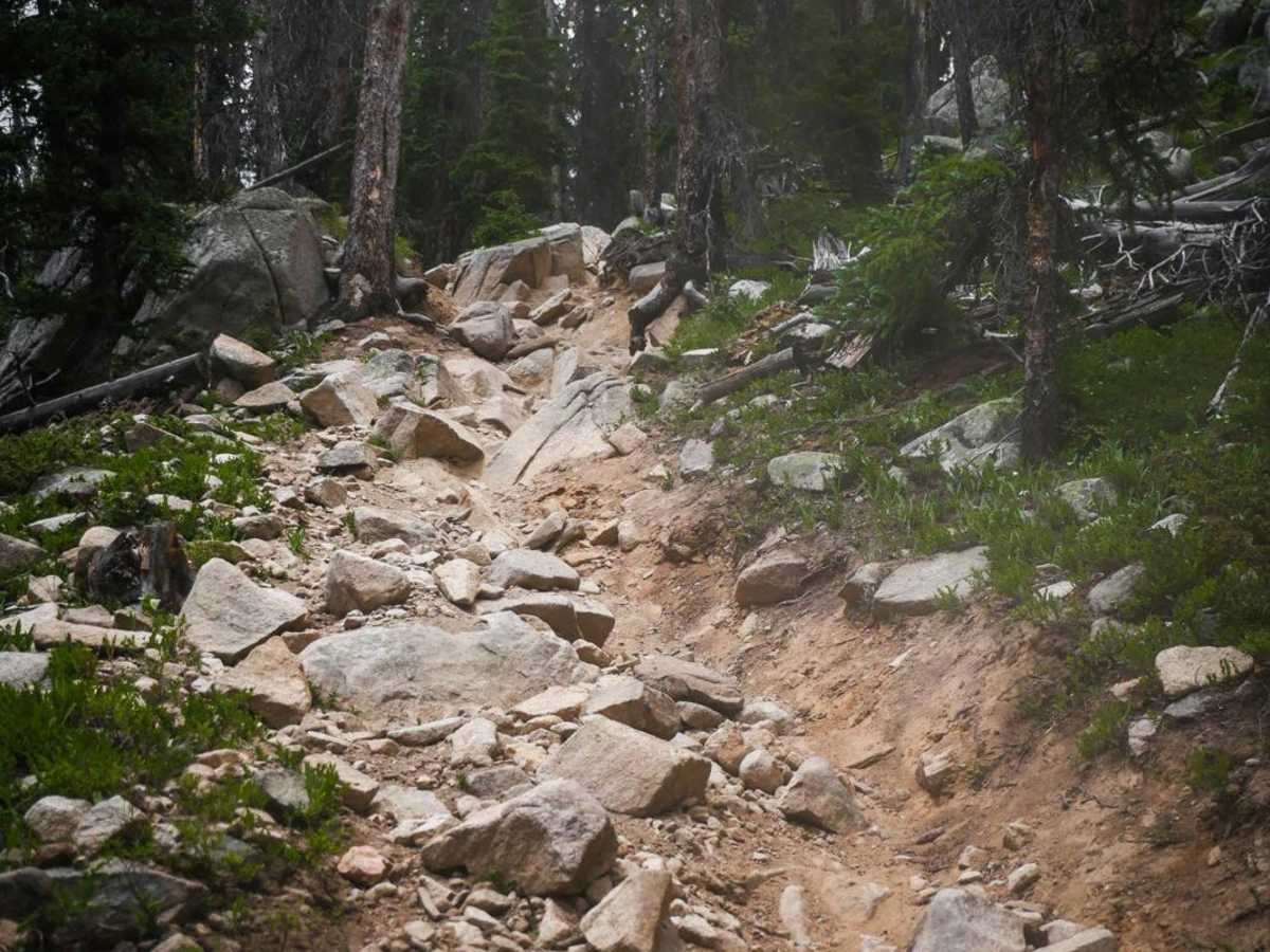 Horseshoe trail photo