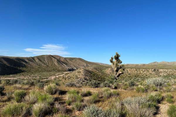 Scarecrow Peak Road