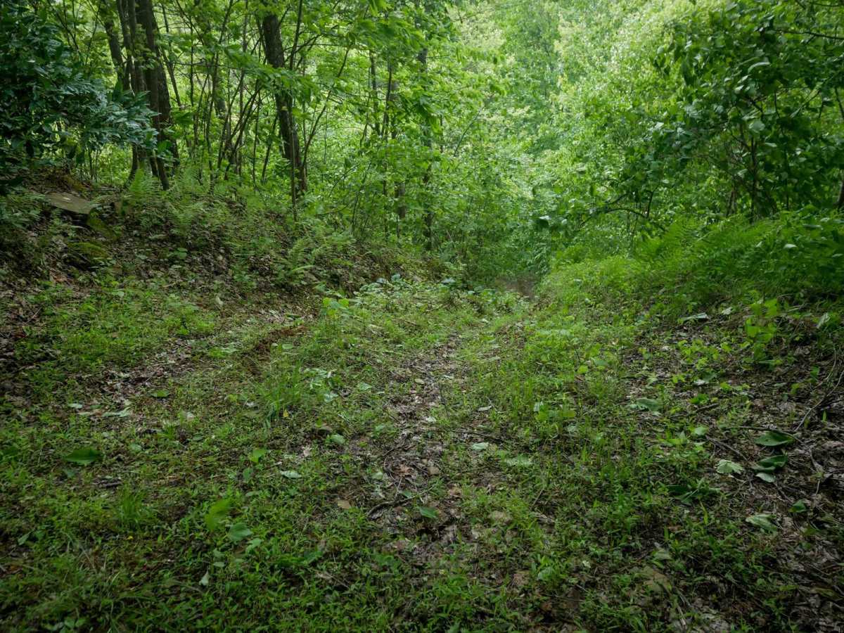 RV51 photo 3