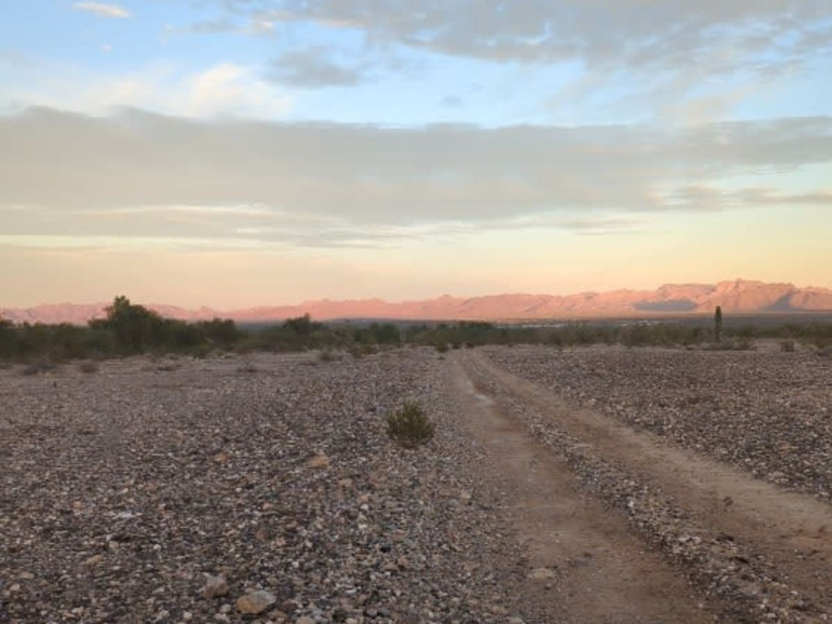 Oh Snap to Pumpkin Smasher Desert Run trail photo