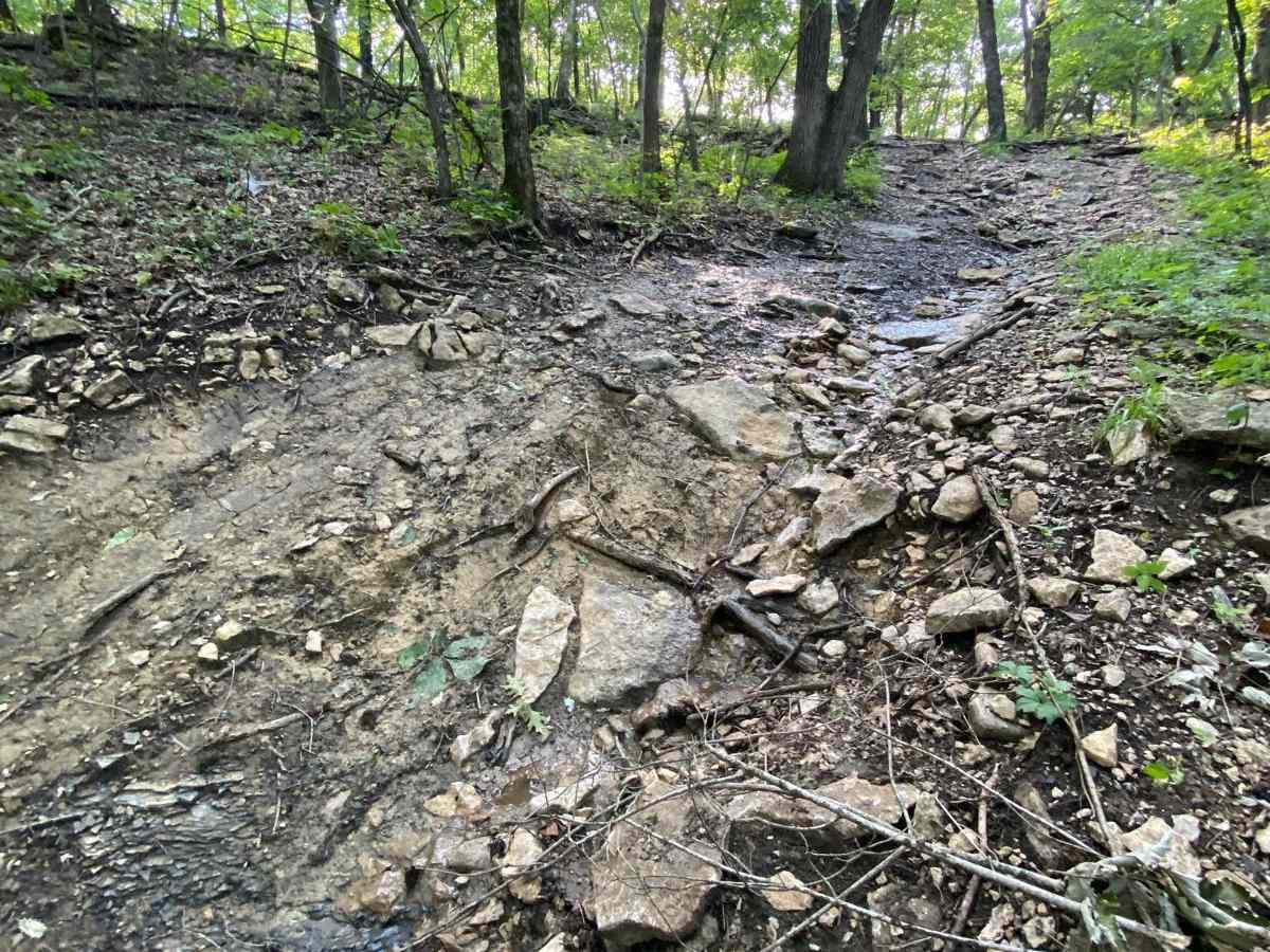 Cloepfil's Climb photo 5