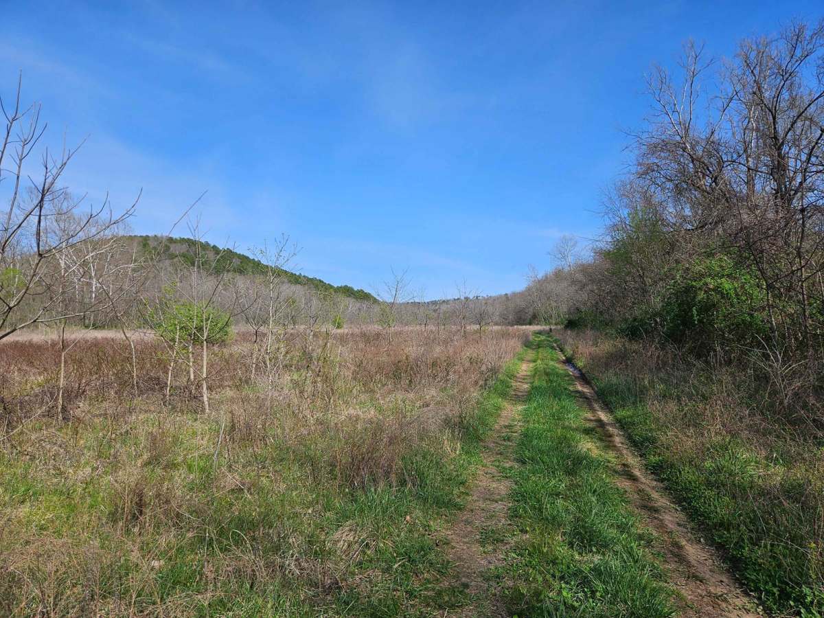 Hay Hollow photo 6