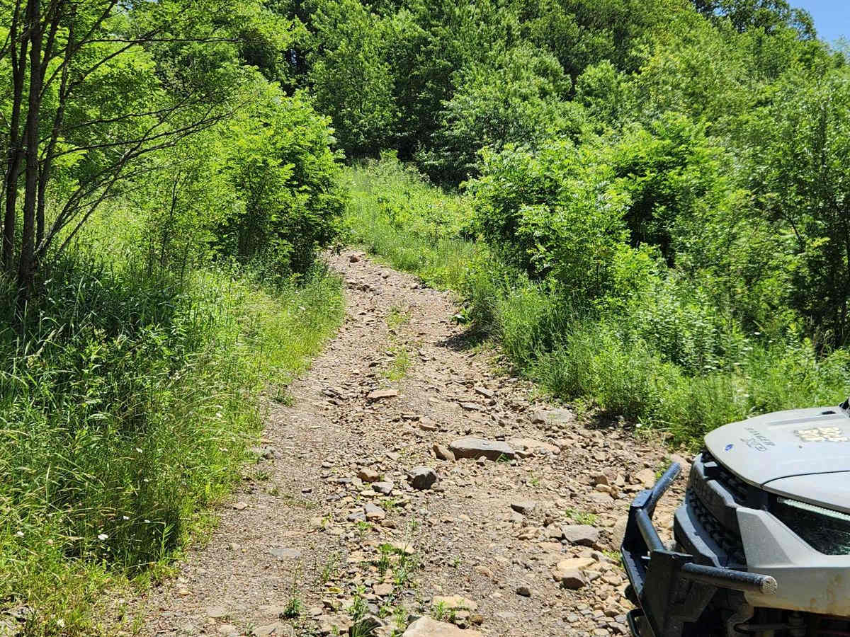 Trail 7C - Rock Run Recreation Area photo 3