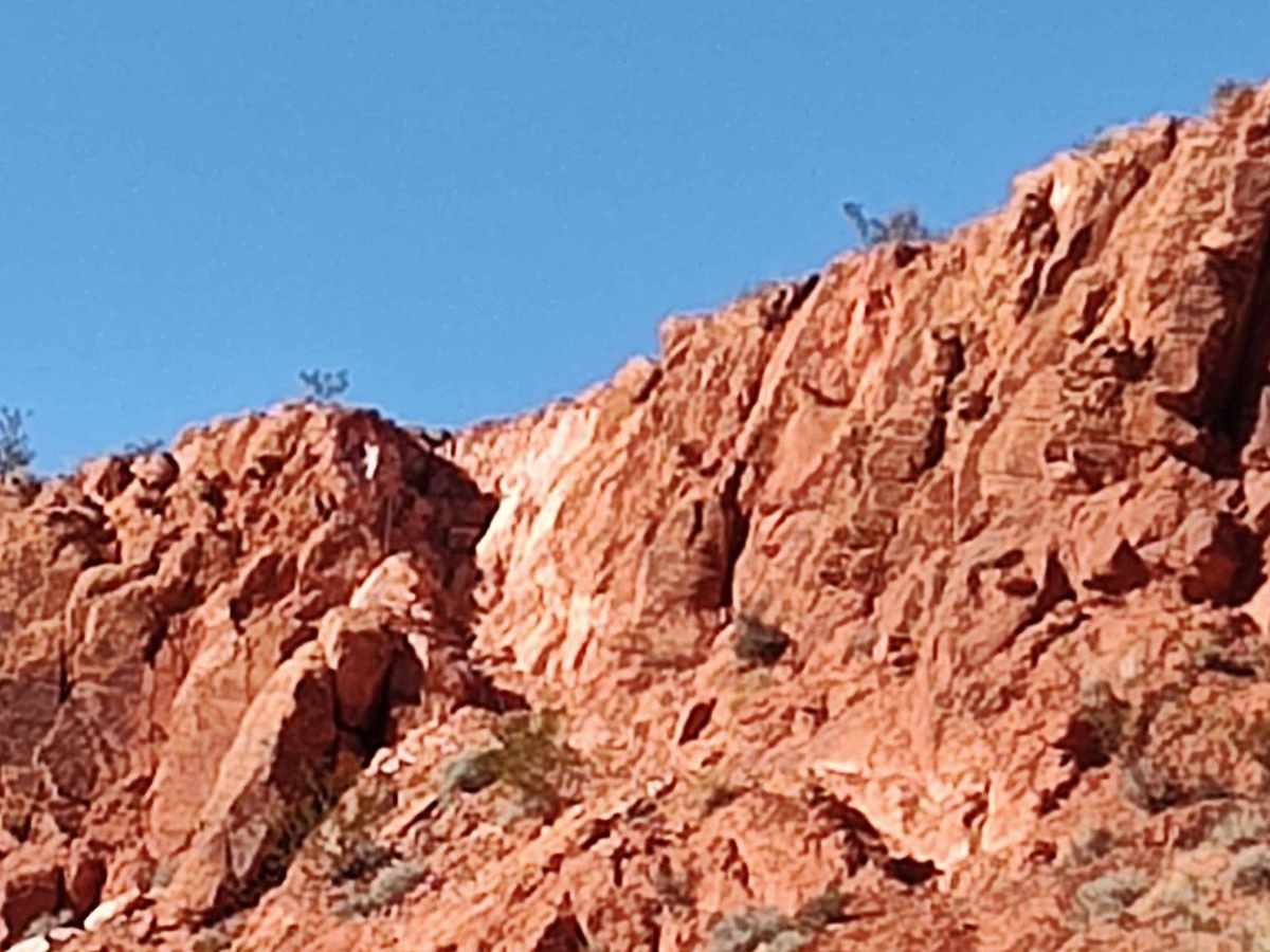 Middle Highlands - Single Track photo 2