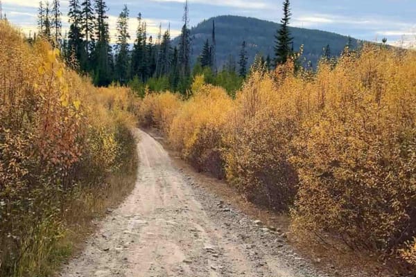 Chute-Meadow Connector