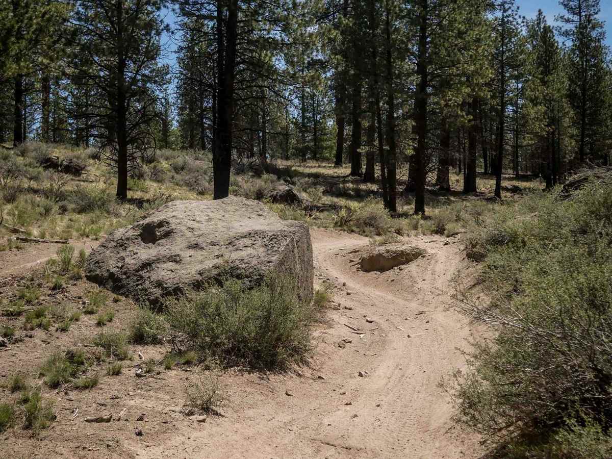 42 trail photo