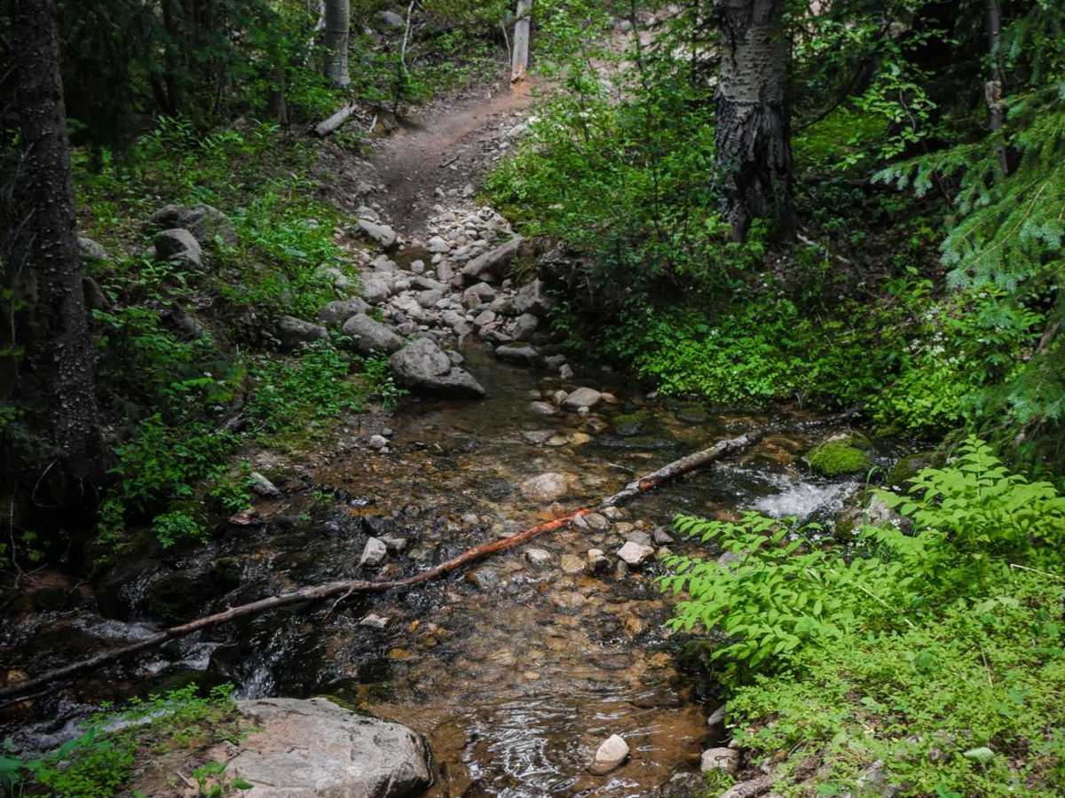 Horseshoe photo 6