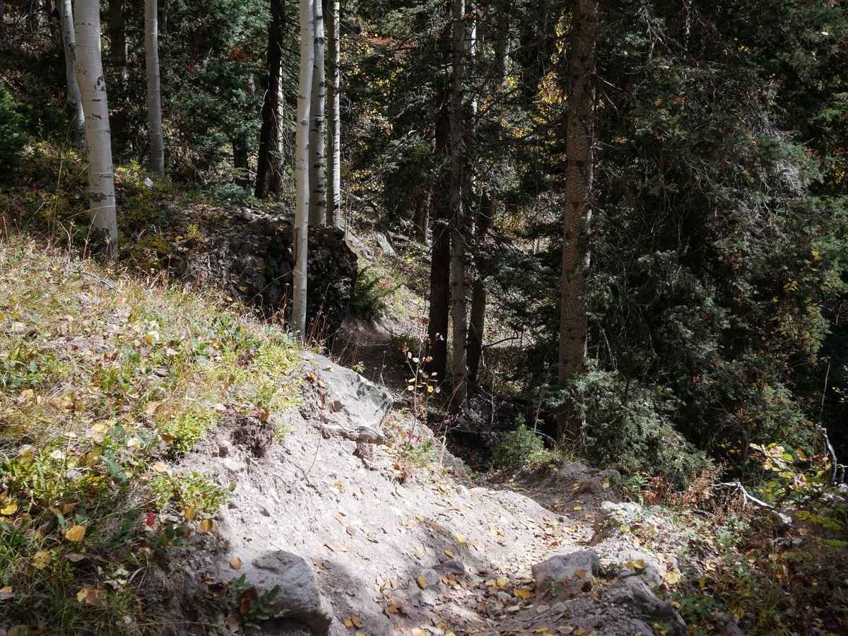 Nate Creek photo 6