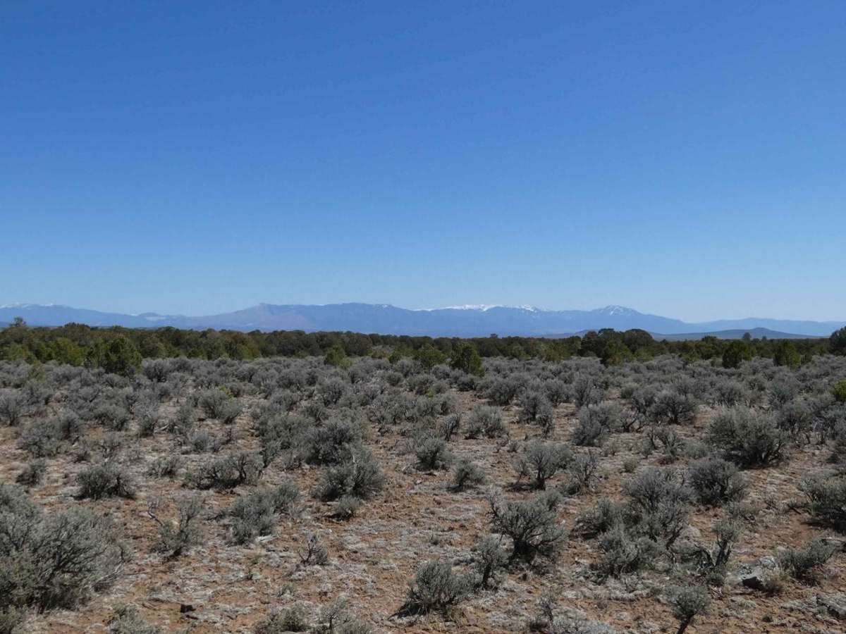Red Mesa FSR-578 trail photo