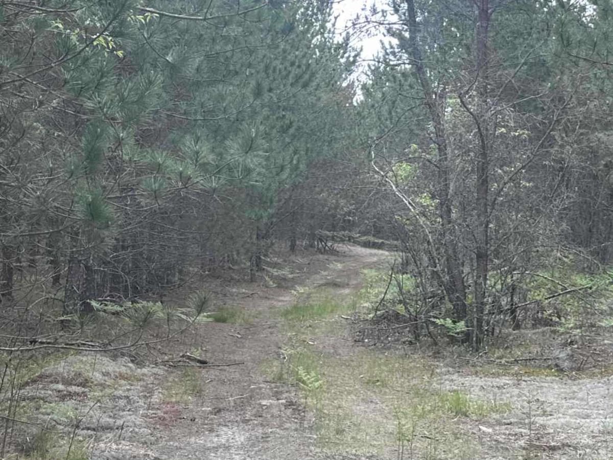 Horse Shoe trail photo 2
