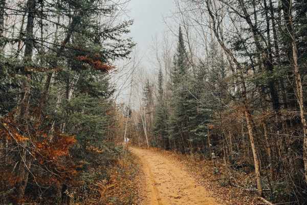 Cedar River Side Spur