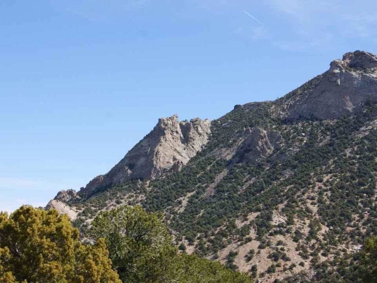 The Horn Road-BLM14000 trail photo