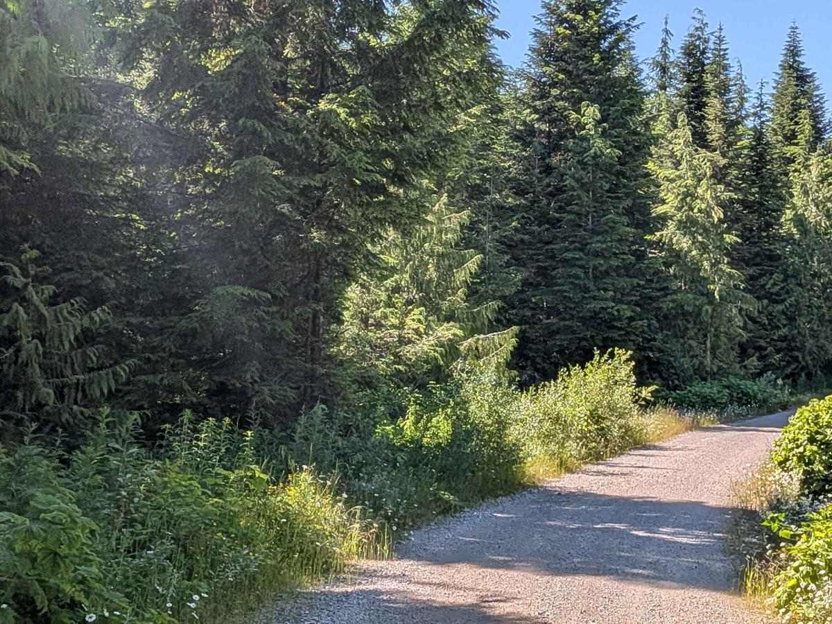 J Main trail photo