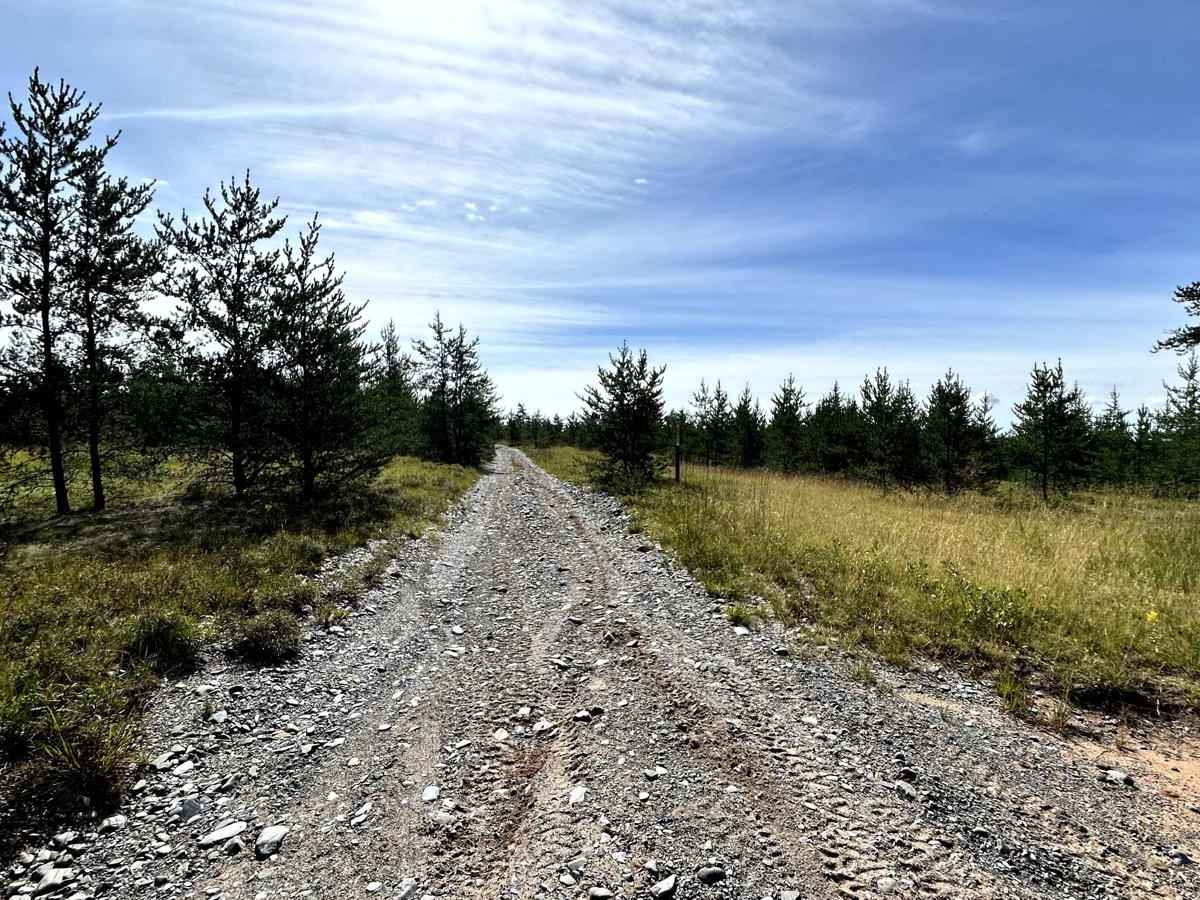 Baraga Plains South Loop photo 4