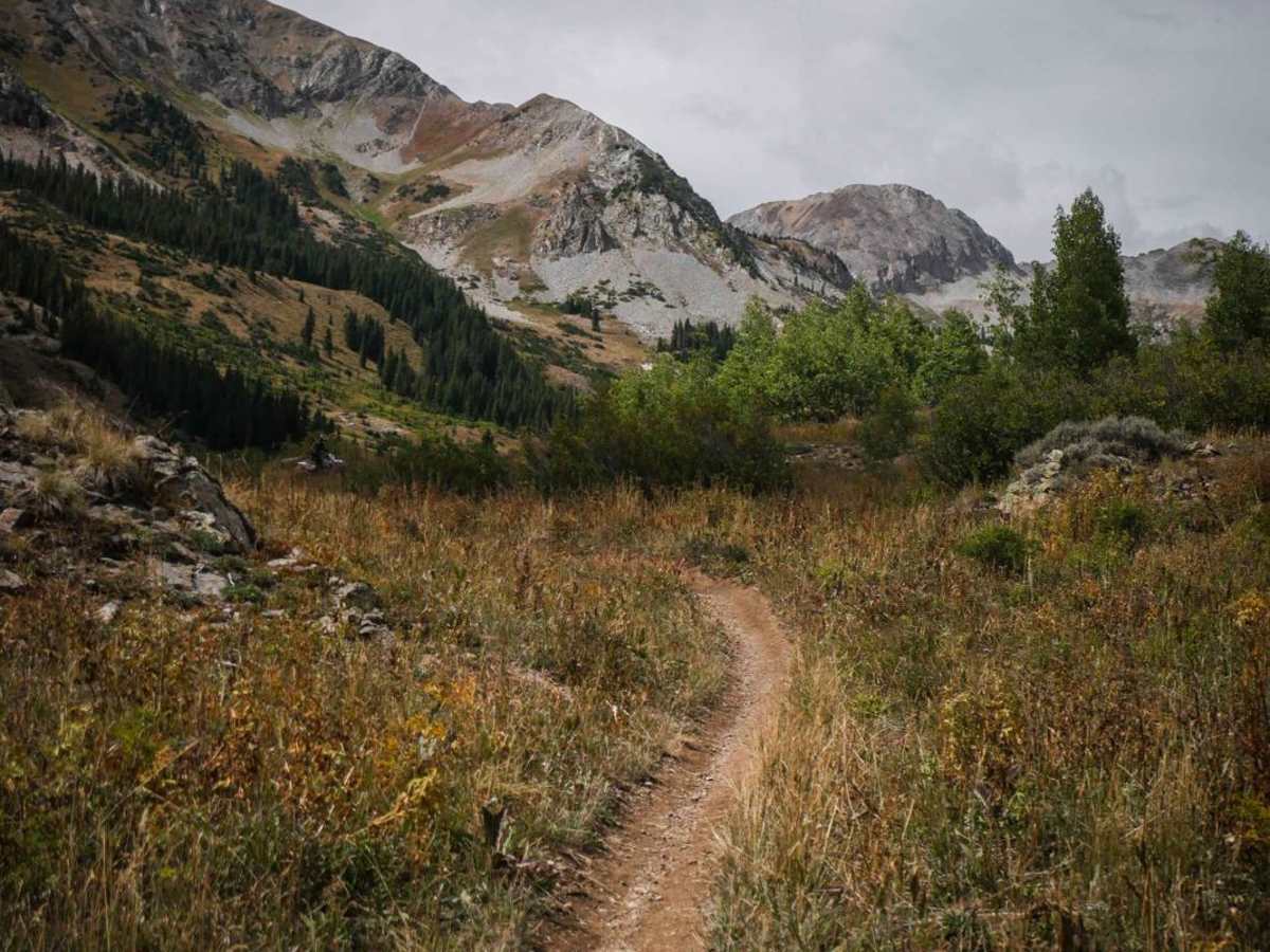 Teocalli Mountain trail photo
