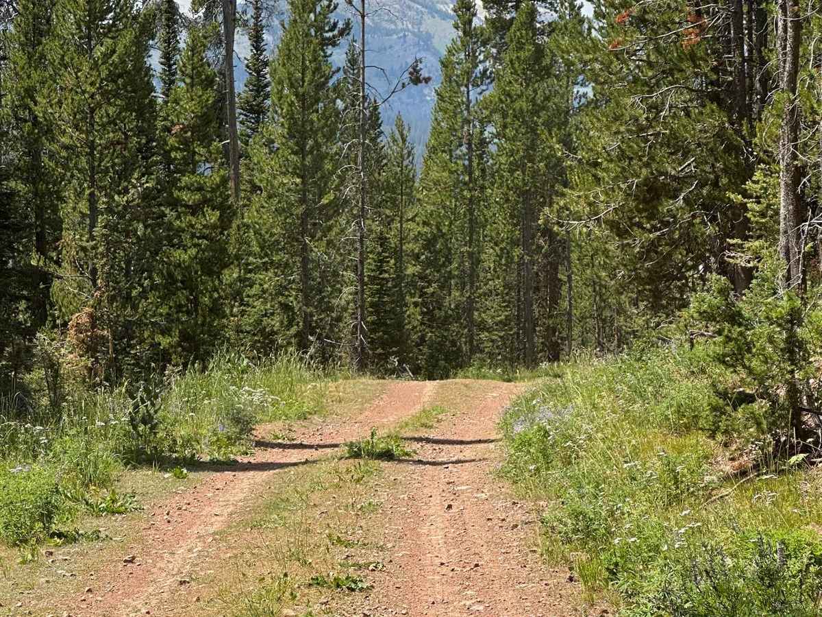 Shale Creek - Kinney Creek Loop photo 2