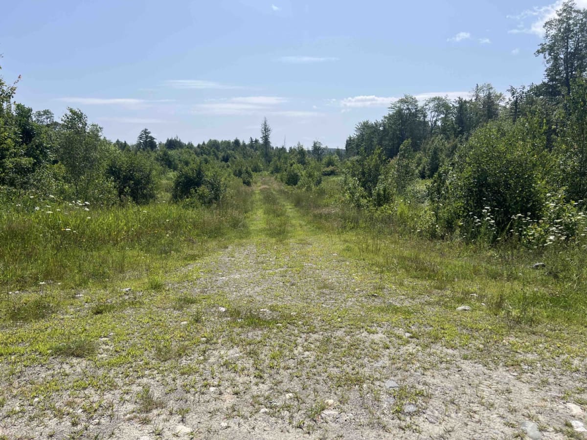 Burrill Woods Road photo 3