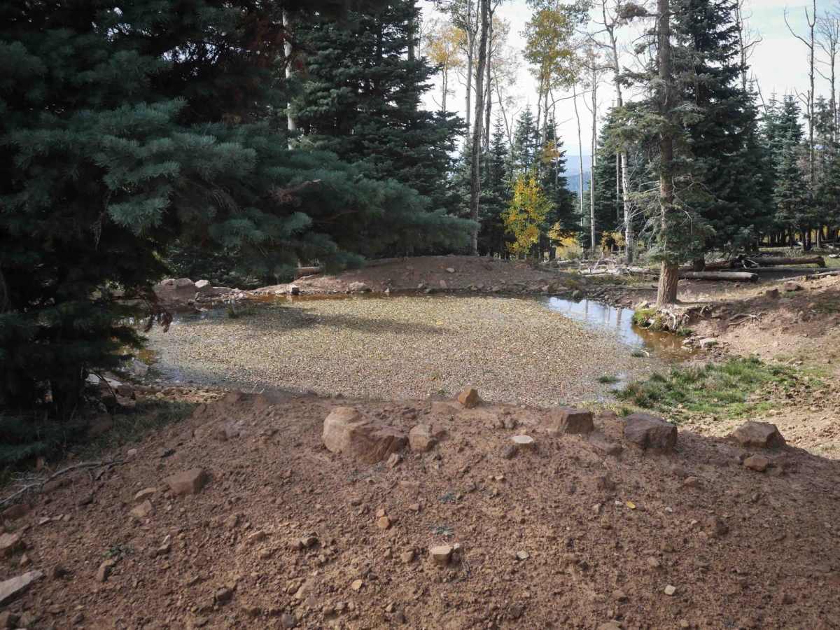 Moonlick Connect photo 5