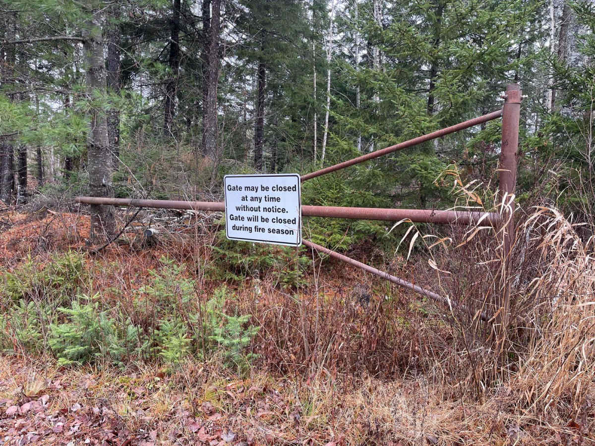 King Lake Trail photo 3