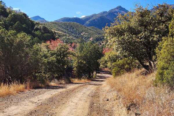 Gardner Canyon FR 92
