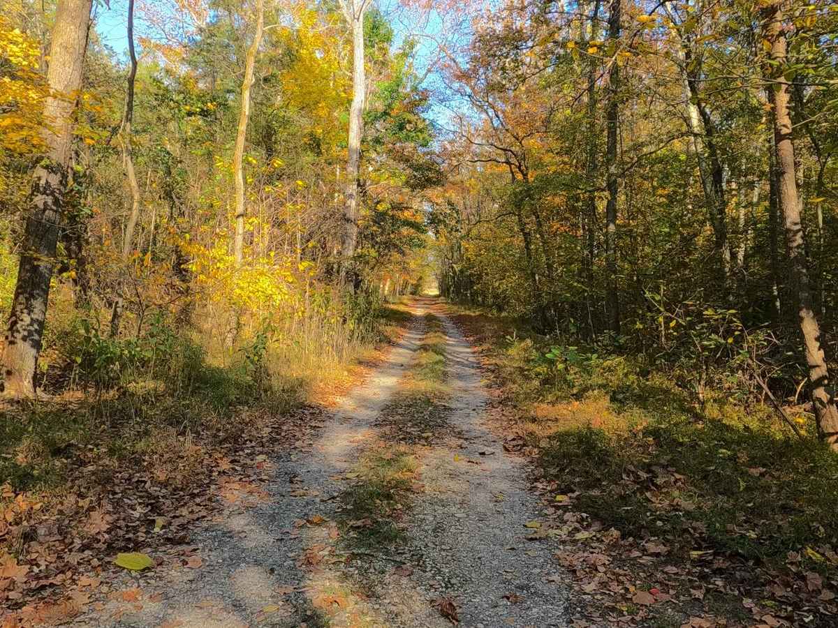 Honker Lake - FS 177 photo 4