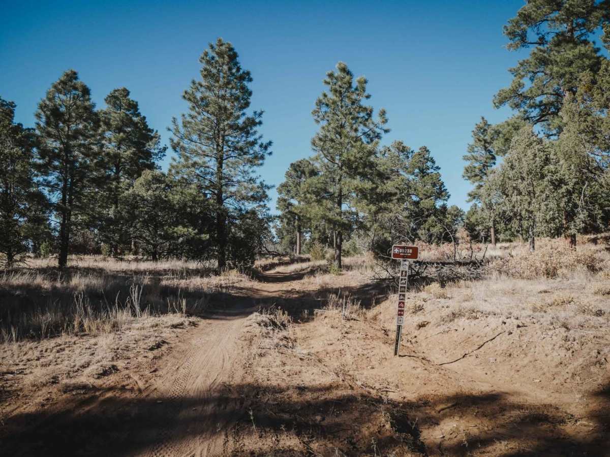 Drop In trail photo