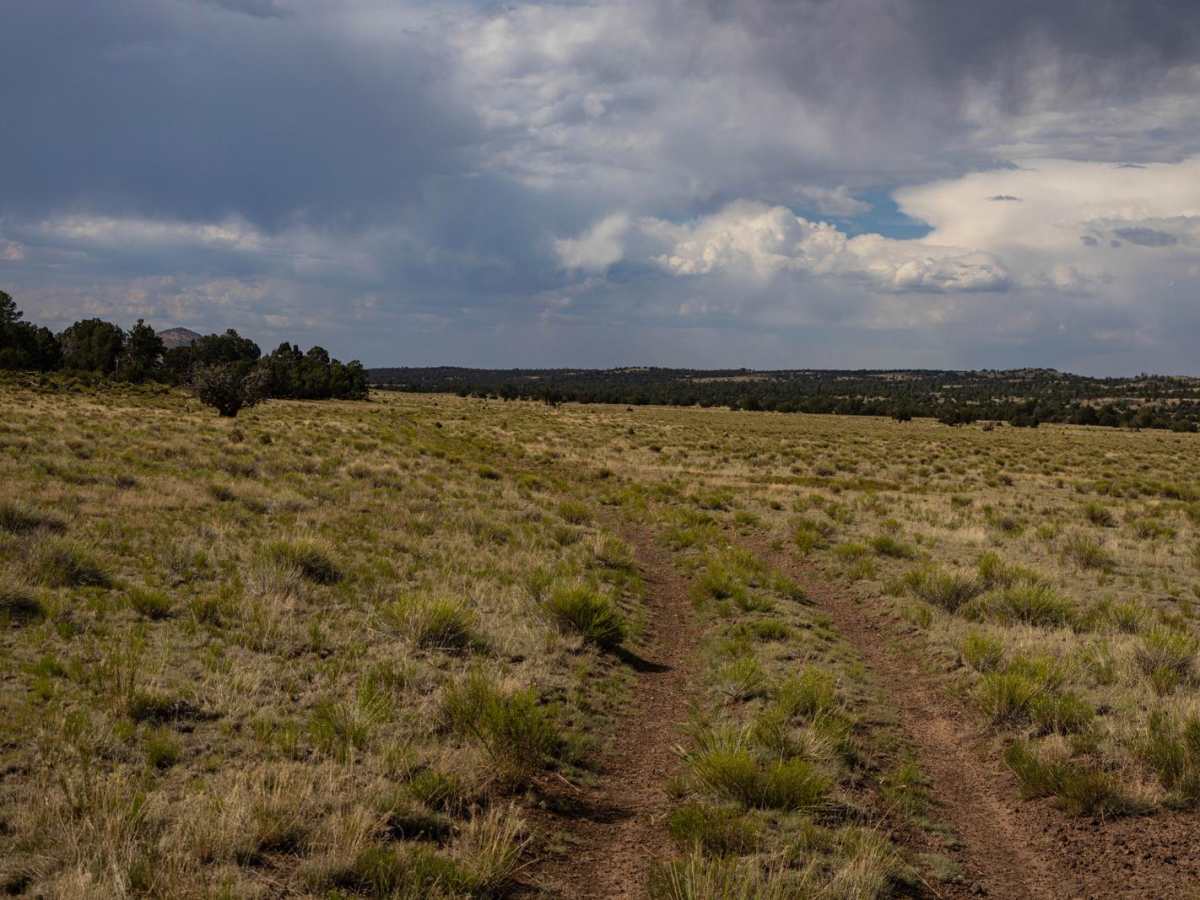 Pasture Waterline photo 5