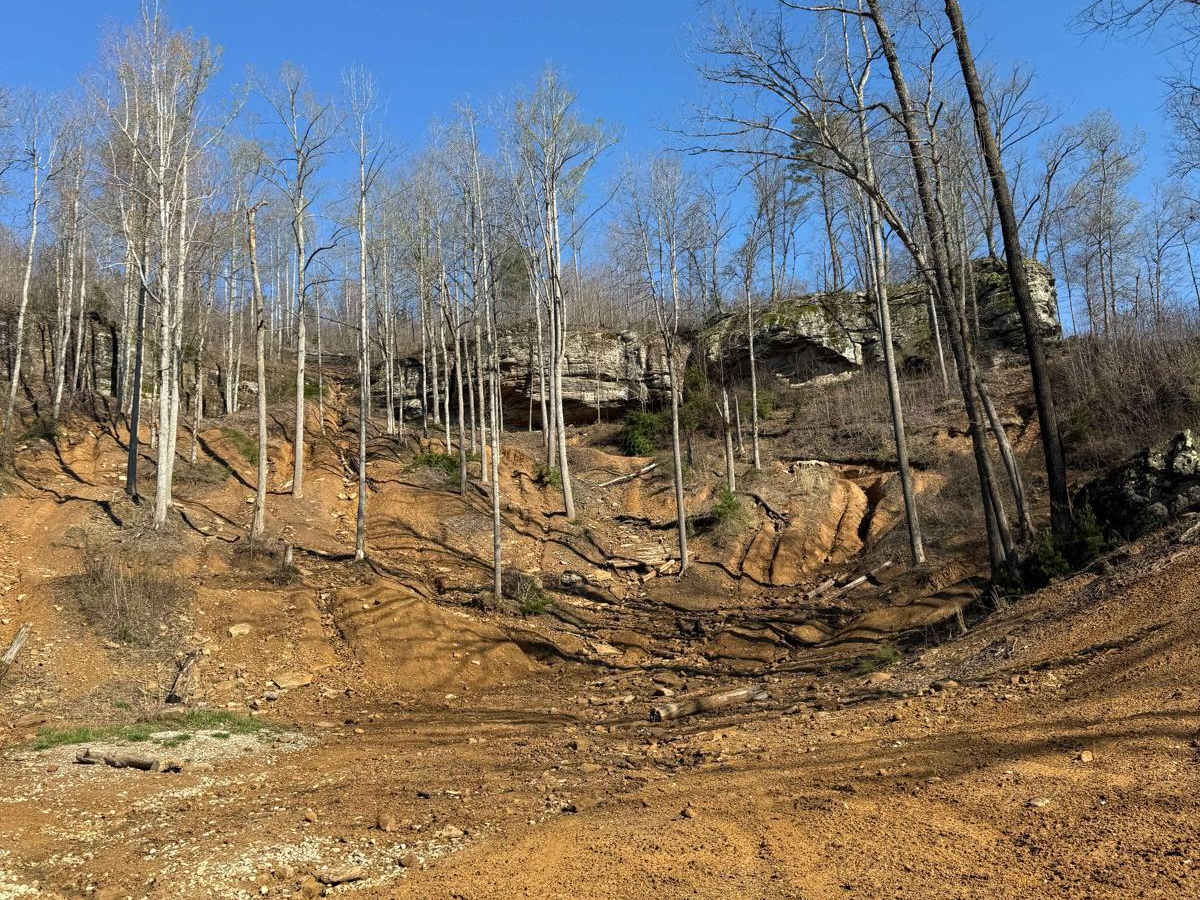 Trail 1 photo 4