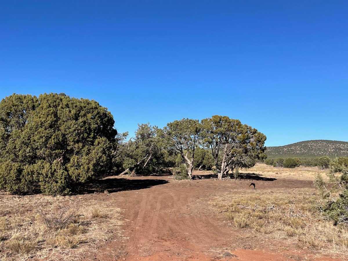 Cedar Flat- West FS 214 photo 5