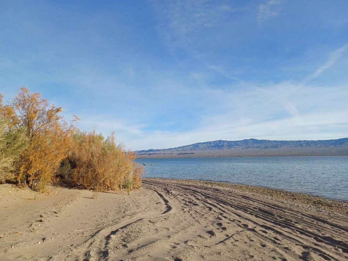 Mid Basin Cove photo 4