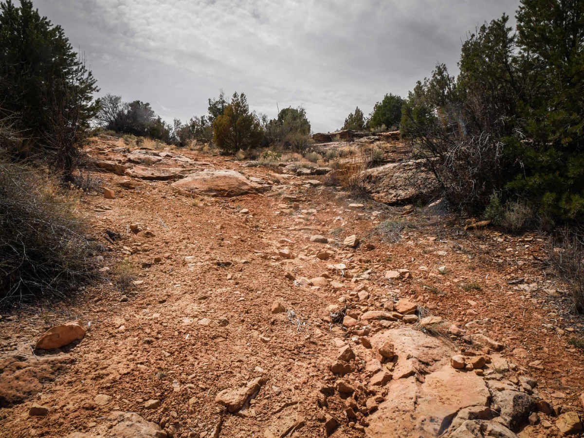 Whiskers Draw trail photo