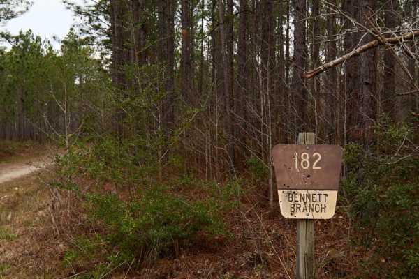 Bennett Branch Road - FSR182