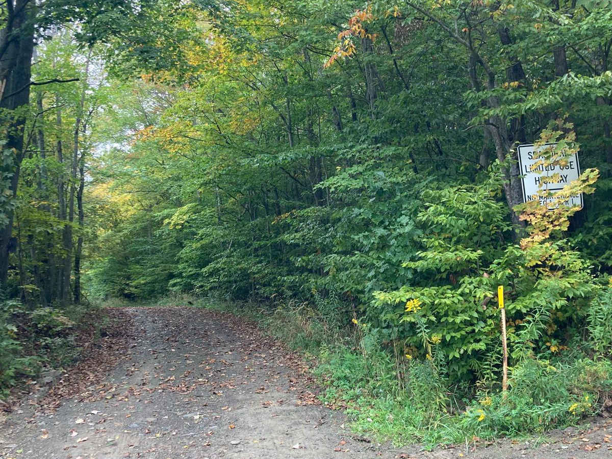 Bellinger Road photo 4