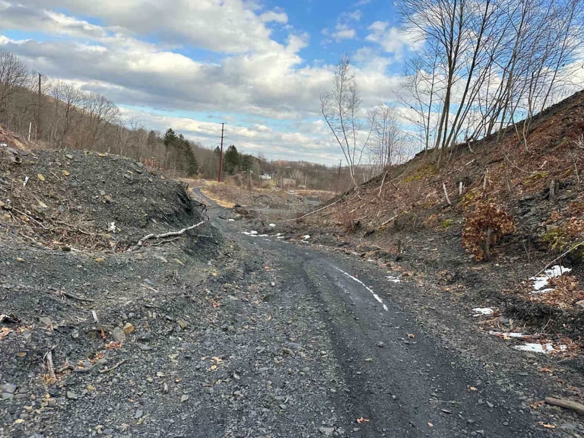 Ashland 77 photo 4