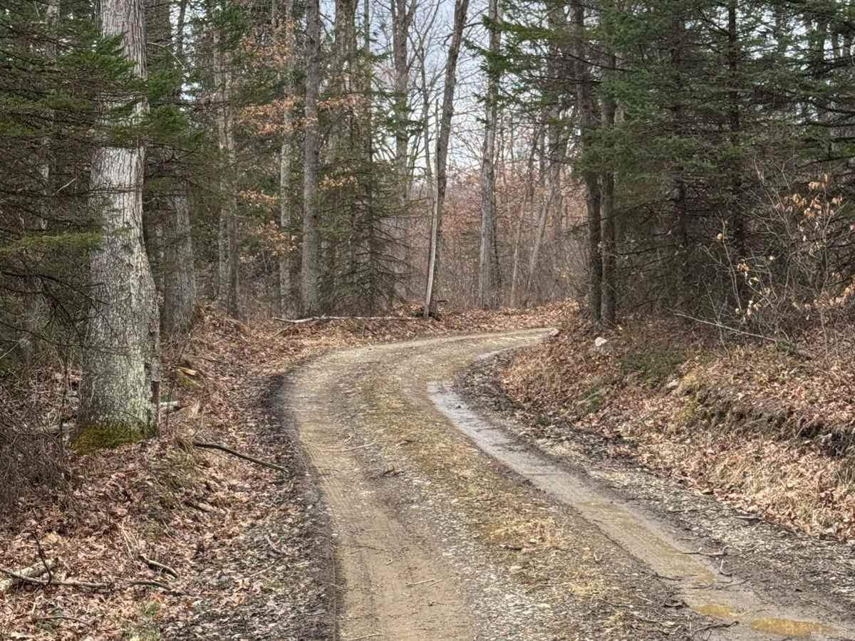 Clubhouse Road photo 6