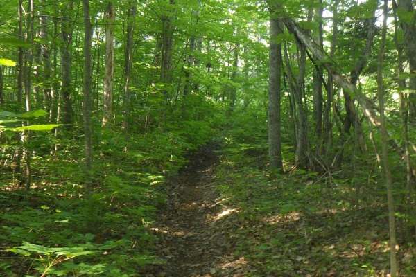 Kinross Motorcycle Trail South/East Loop