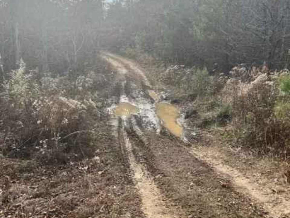 Coalmont Trail 15 photo 2