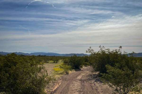 8107 Trail