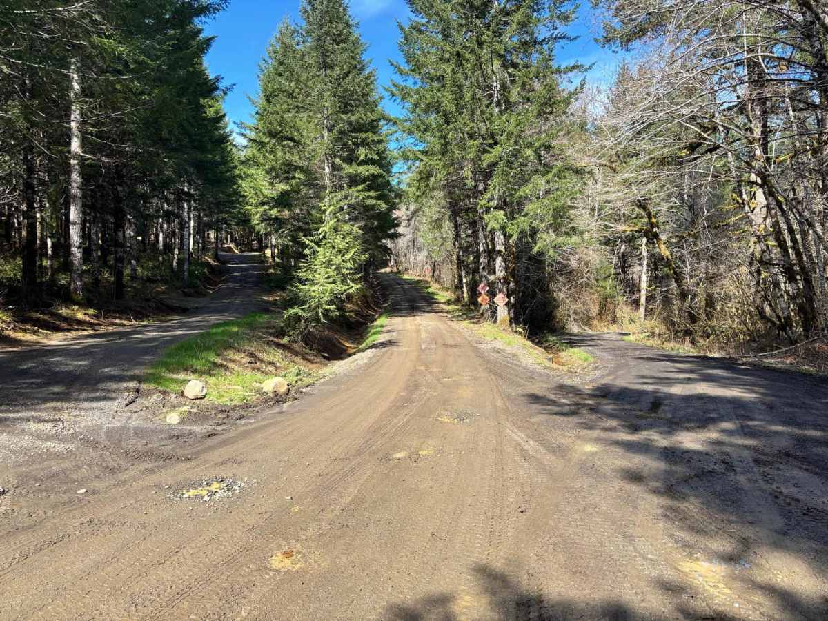 Agency Creek Road photo 3