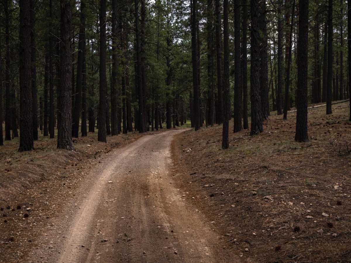 FR76 photo 5