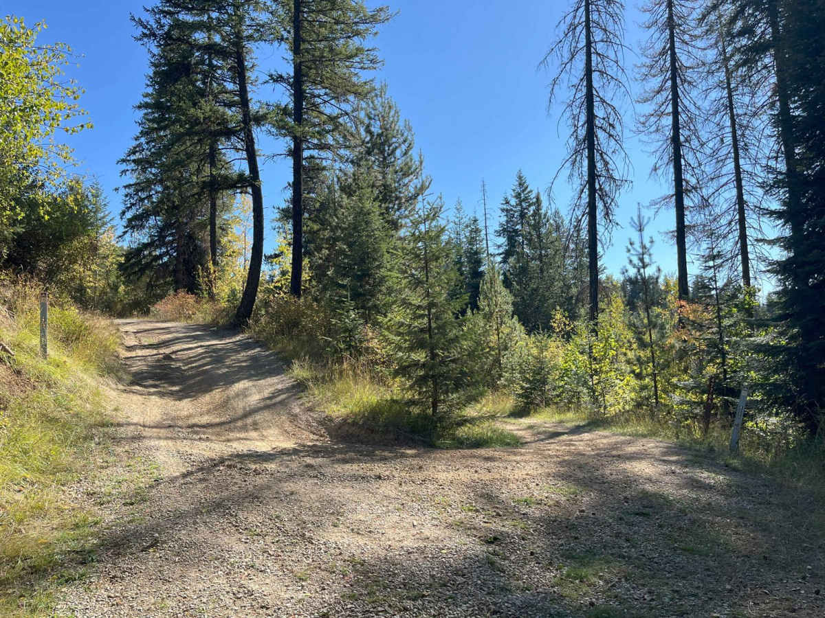 USFS 8234 Mid-Section photo 6