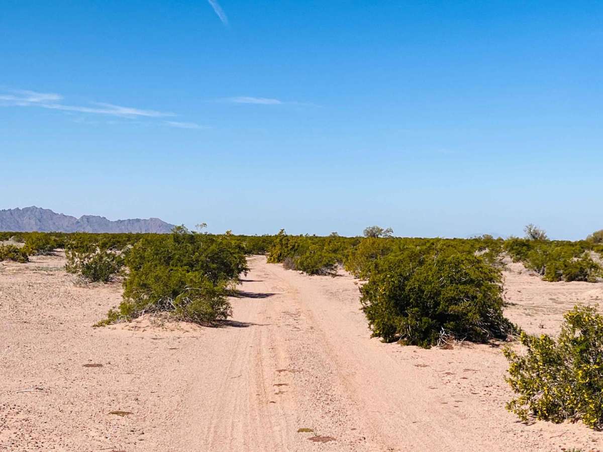 El Camino Del Sol to Dateland Hidden Canyon trail photo